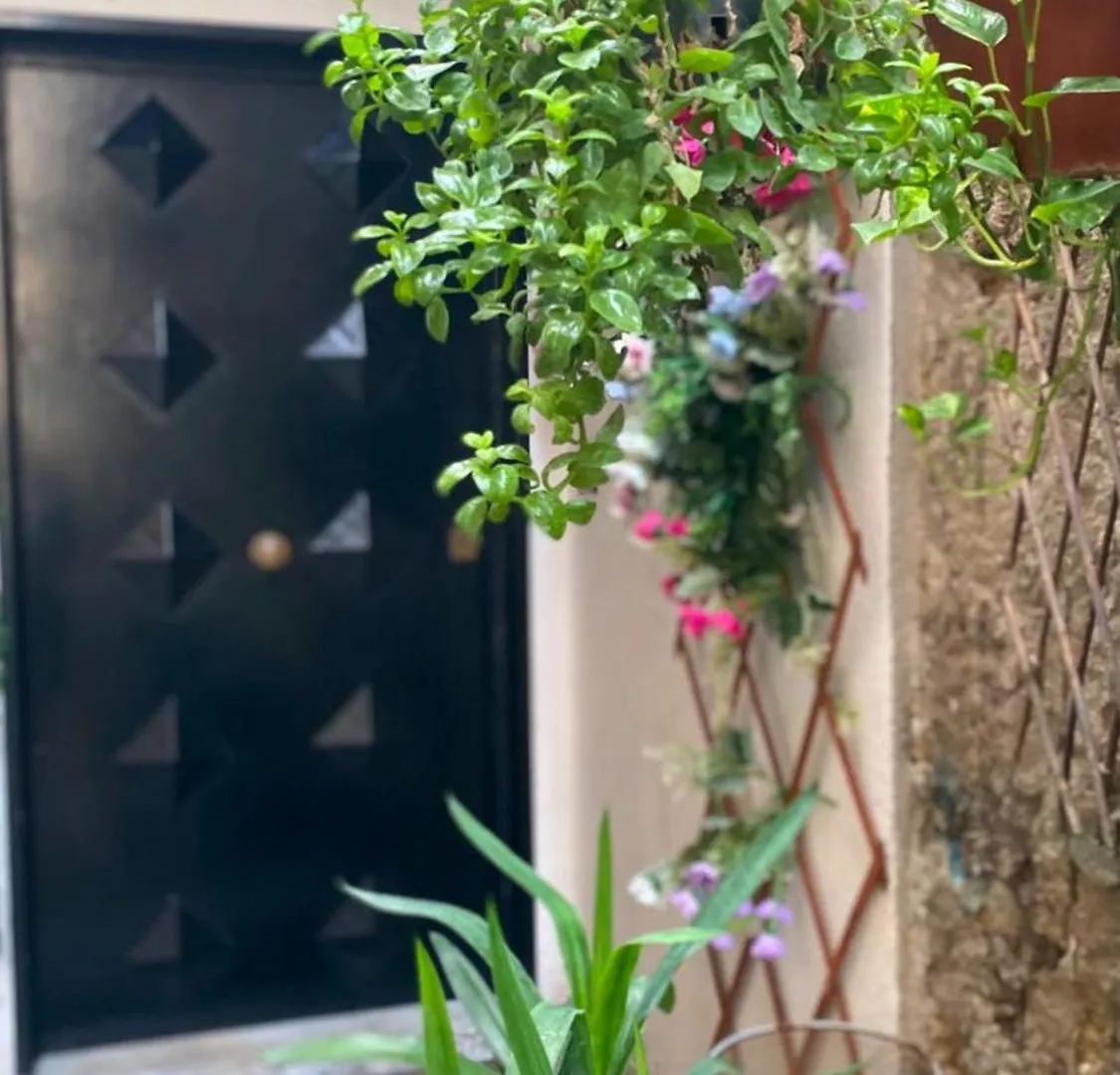 Hotel Il Vicoletto Neapol